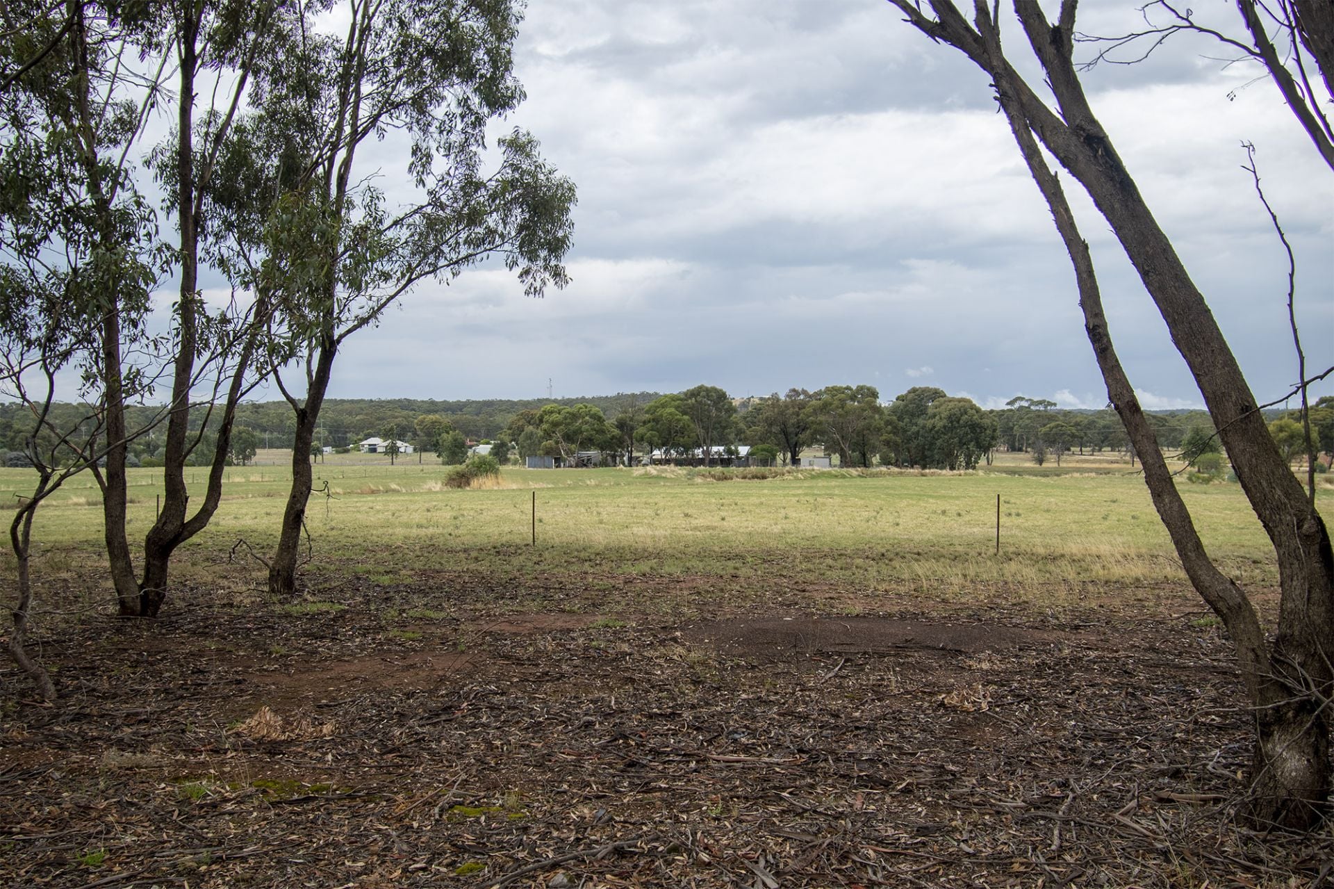1/ Newbold Street, Wedderburn - Thumbnail 2