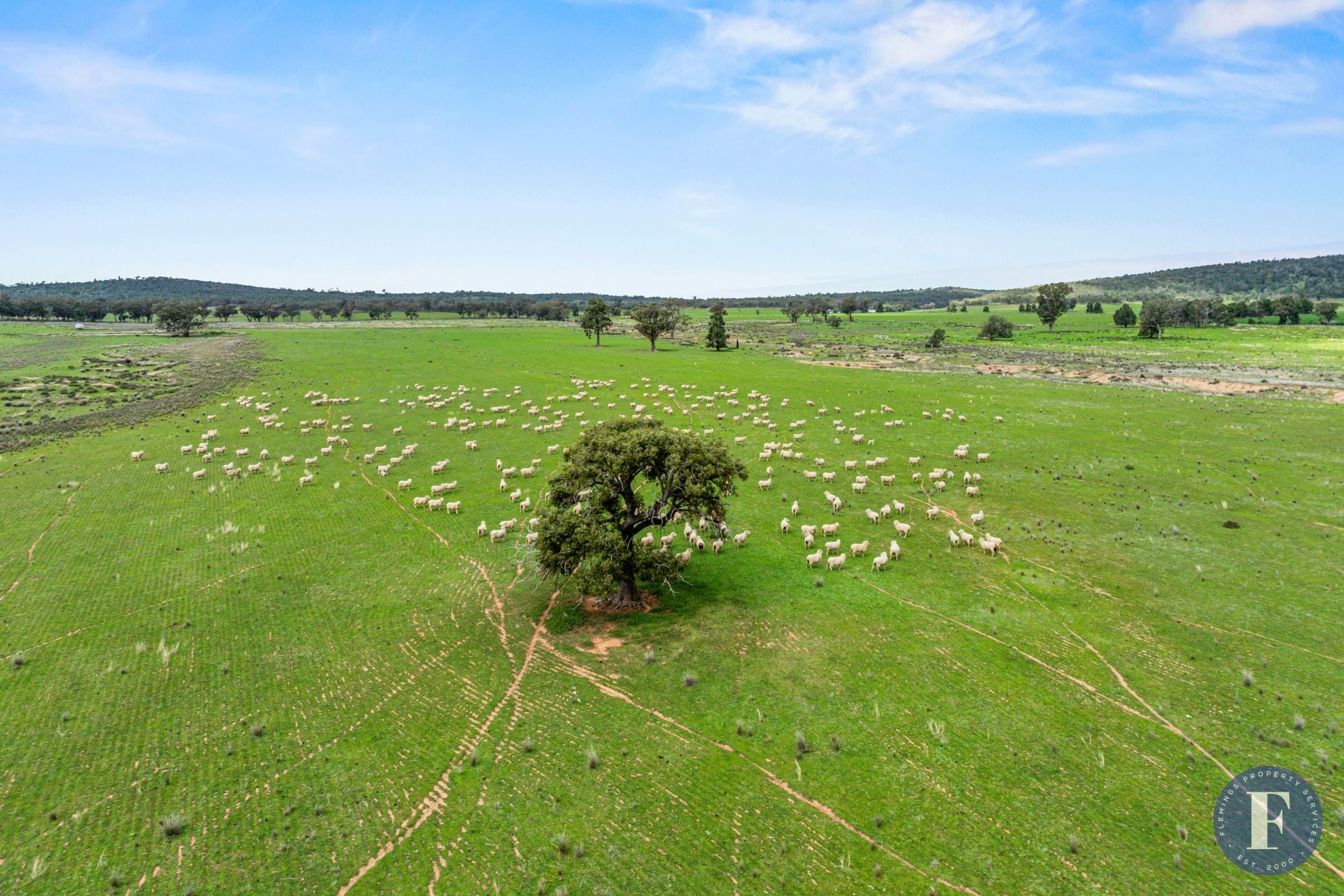 893 Deaths Lane, Pullabooka NSW, Pullabooka - Thumbnail 6