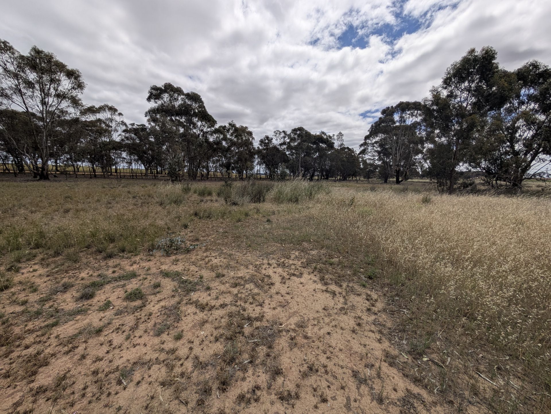 5a Logan-Bealiba Road, Cochranes Creek - Thumbnail 5