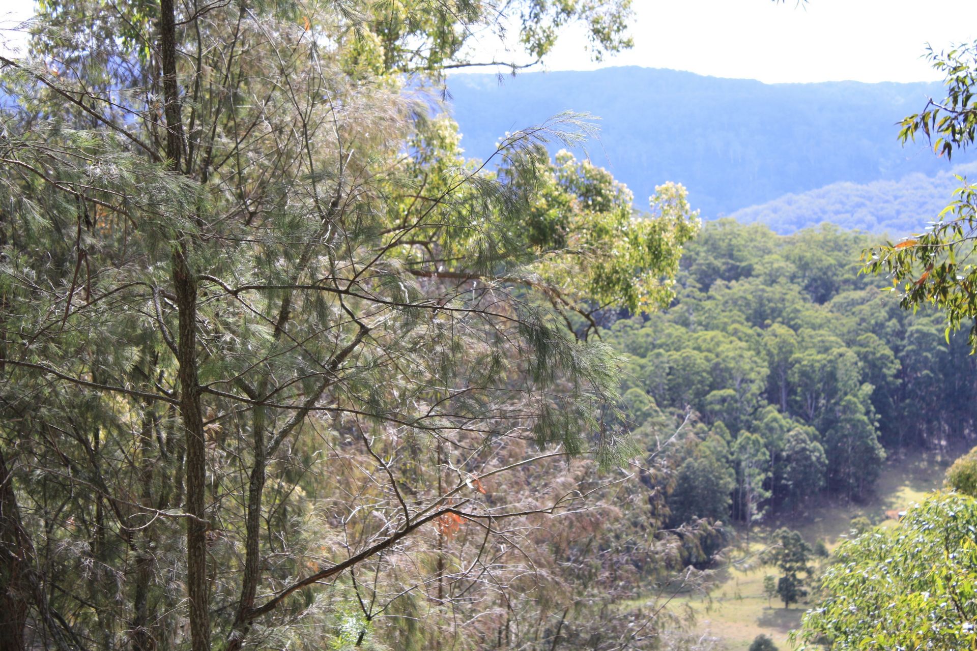 94 Mahers Road MARTINSVILLE NSW, Martinsville - Thumbnail 5
