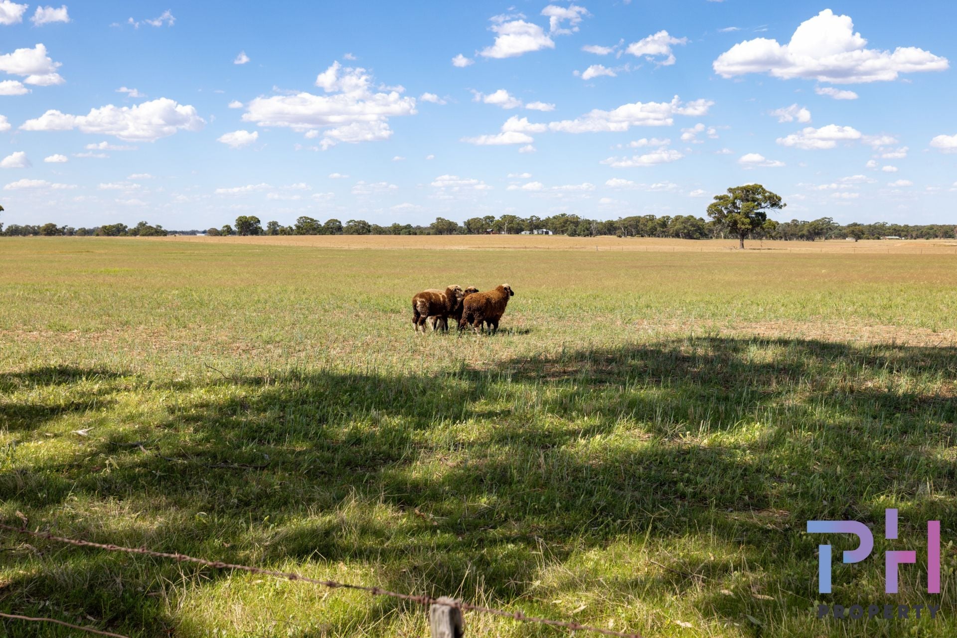 Lot 38 Jackson Lane Neilborough VIC, Neilborough - Thumbnail 5