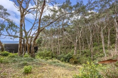 4C Tradewinds Avenue, Lorne, VIC