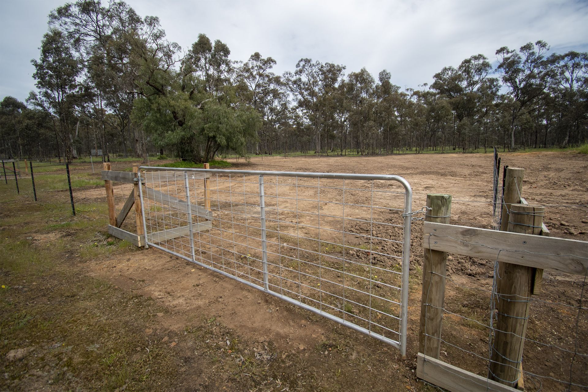 CA 9/100 Queens Birthday Mine Road Goldsborough - Via Road, Dunolly - Thumbnail 6