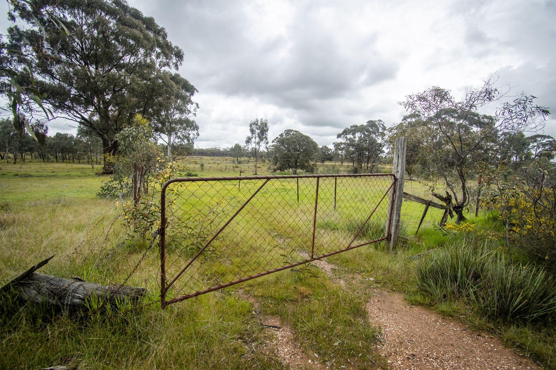 30/123 Logan Road, Alma - Thumbnail 3
