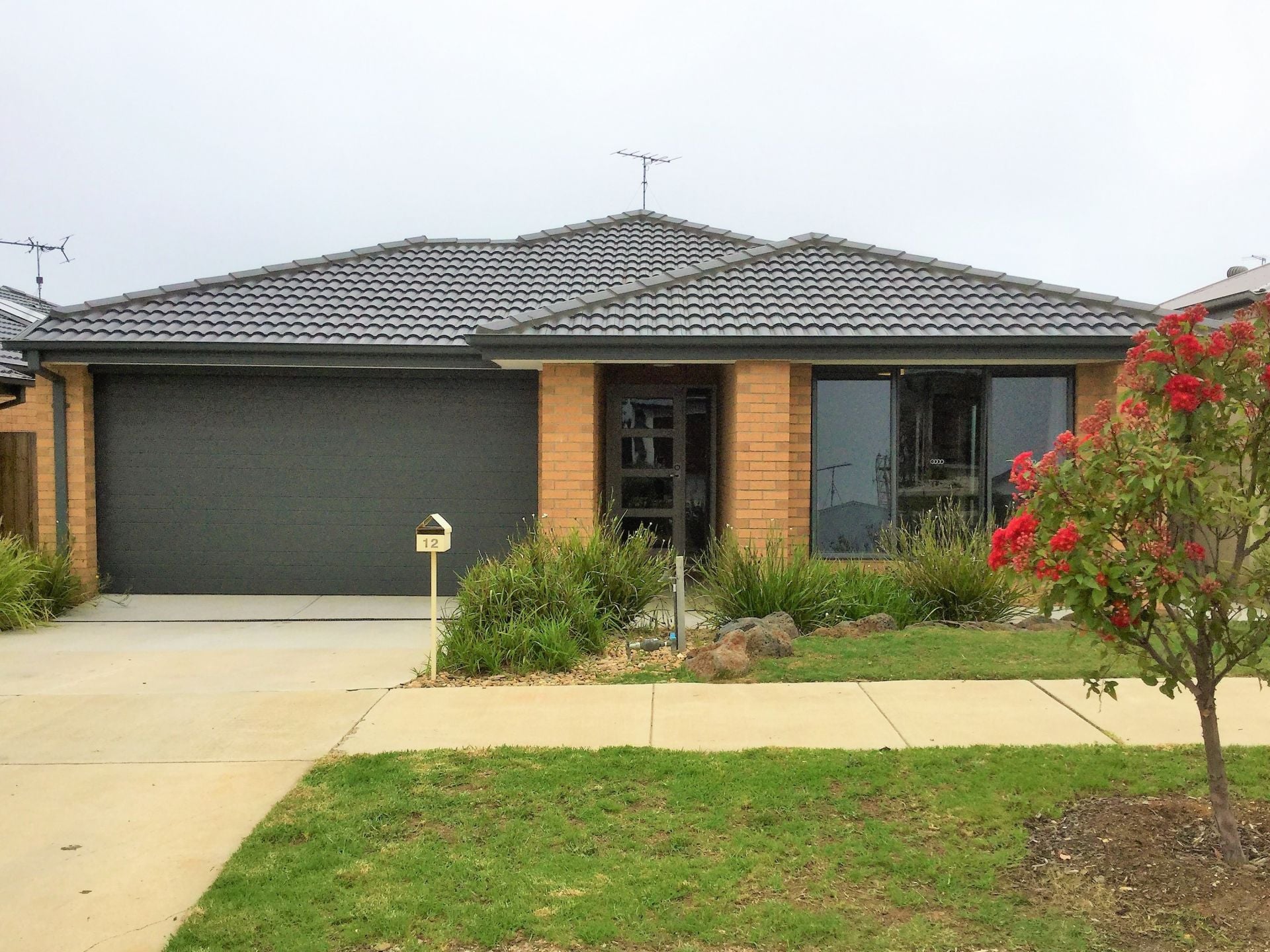 12 Pimelea Way Torquay VIC, Torquay - Thumbnail 2