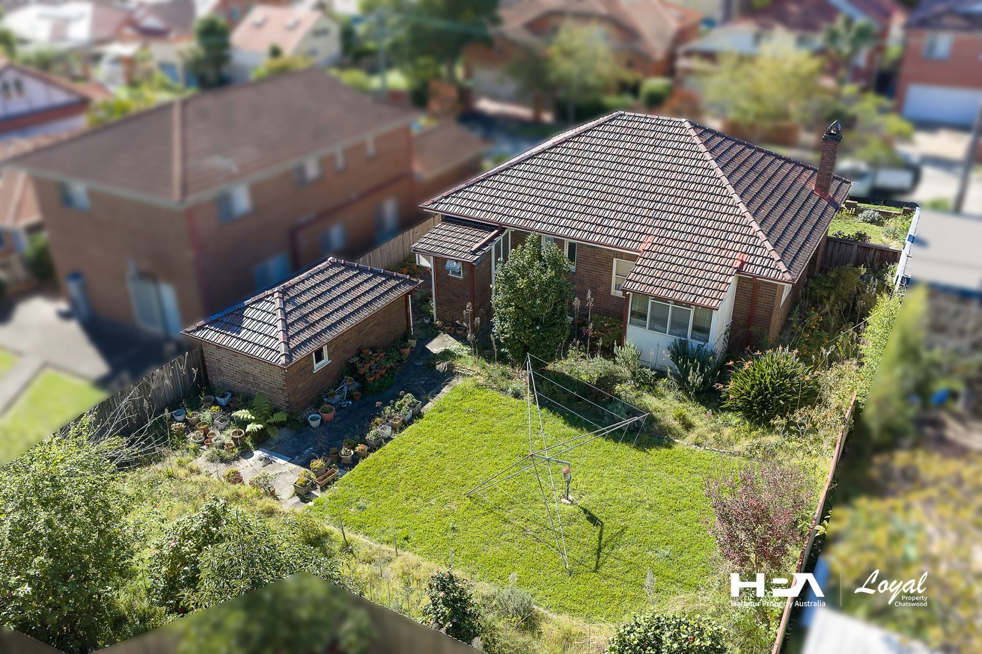 8 Claude Street Chatswood NSW, Chatswood - Thumbnail 4