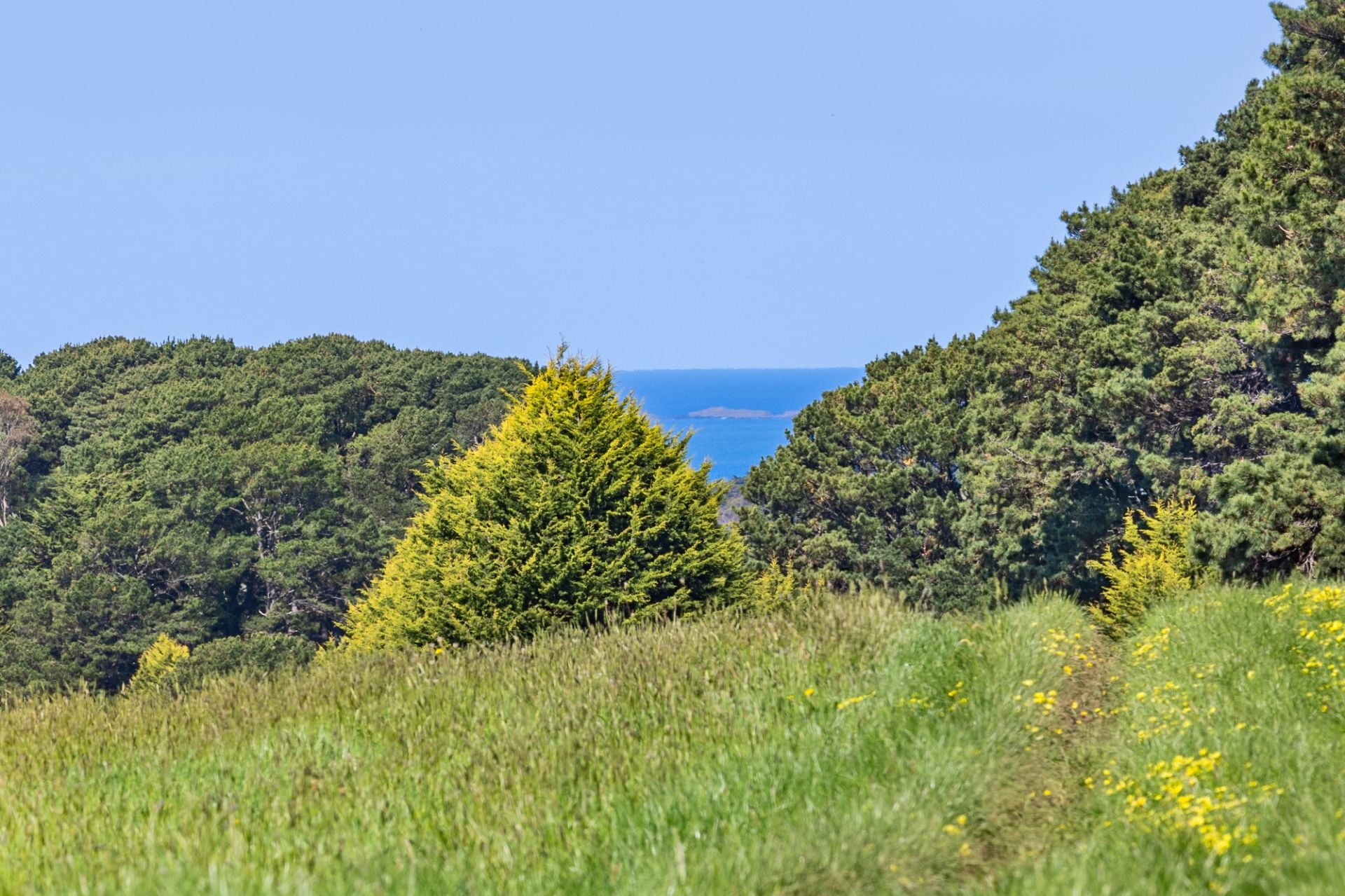 2091 Mornington-Flinders Road, Flinders, Flinders - Thumbnail 7