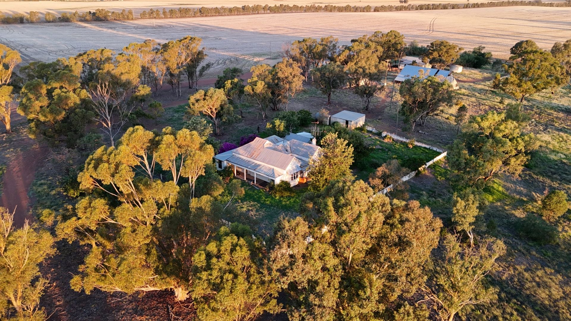 2207 Mid Western Highway, Grenfell, Grenfell - Thumbnail 7