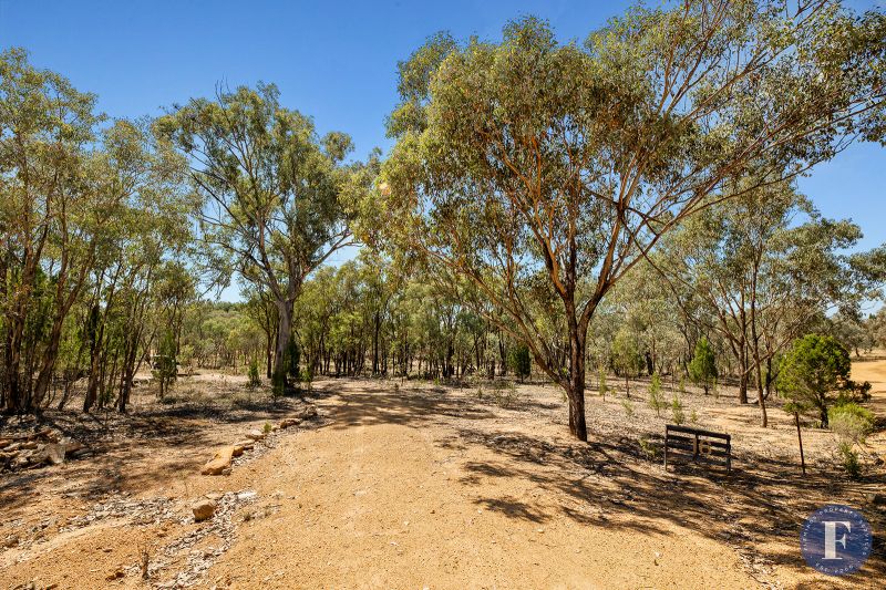 16 Caringa Road, Godfreys Creek NSW, Godfreys Creek - Thumbnail 8