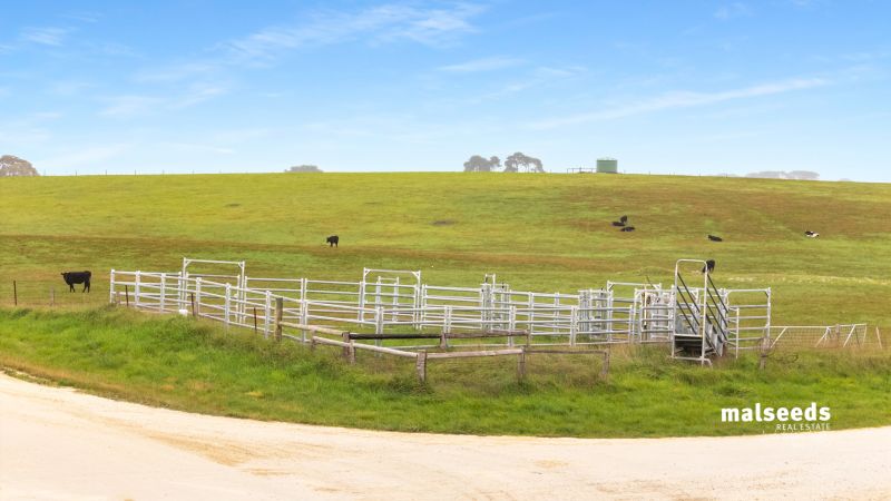 Lot 455 Vause Road Wandilo SA, Wandilo - Thumbnail 6