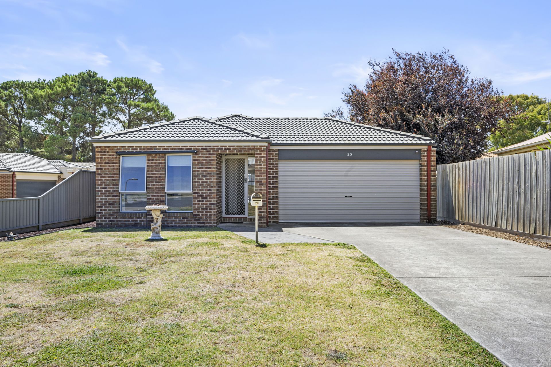 20 McDonald Drive, Mitchell Park, Mitchell Park - Thumbnail 4
