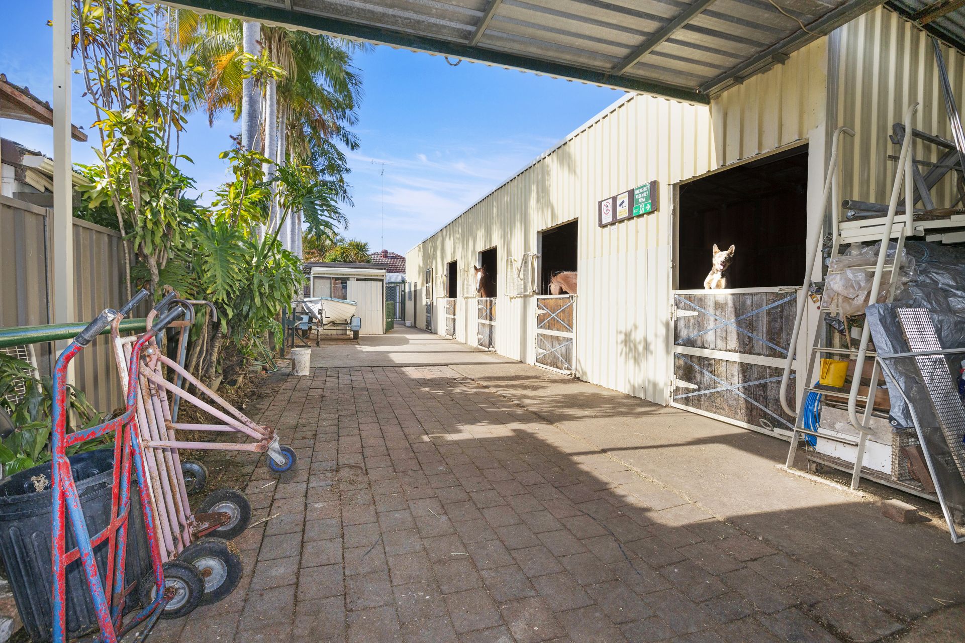 12 Short Street Rosehill NSW, Rosehill - Thumbnail 5