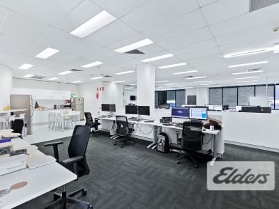 LIGHT-FILLED CORPORATE OFFICE TENANCIES