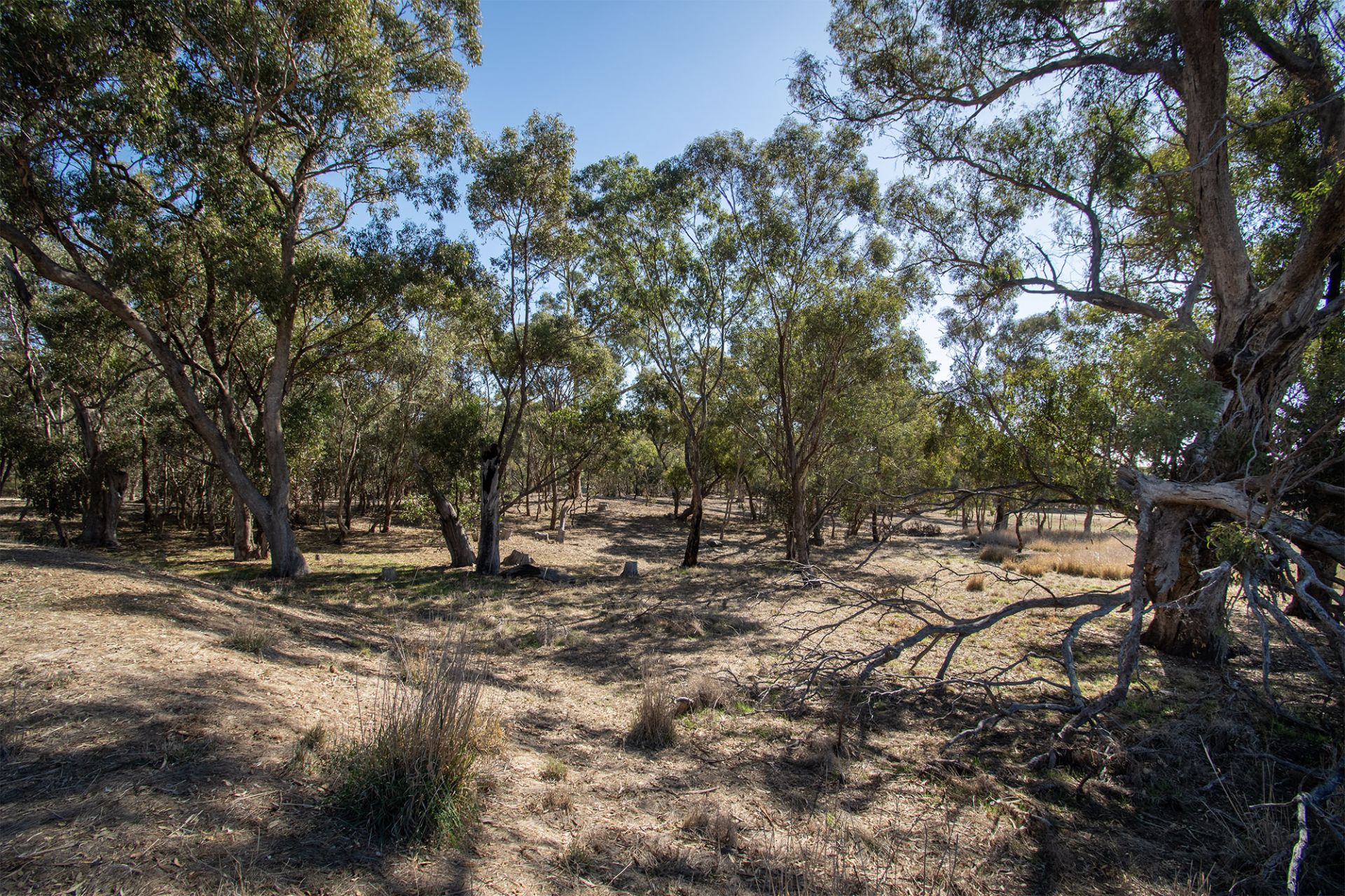 65 Hoopers Road, Mount Glasgow - Thumbnail 7