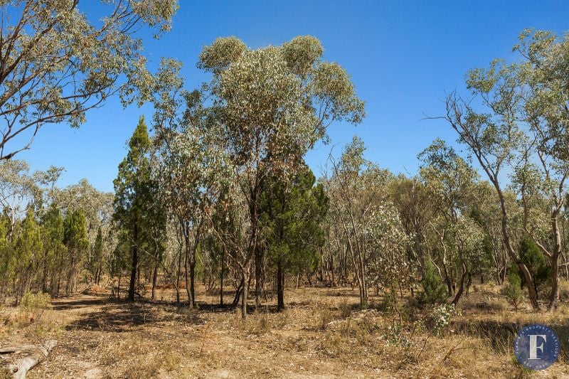 16 Caringa Road, Godfreys Creek NSW, Godfreys Creek - Thumbnail 7