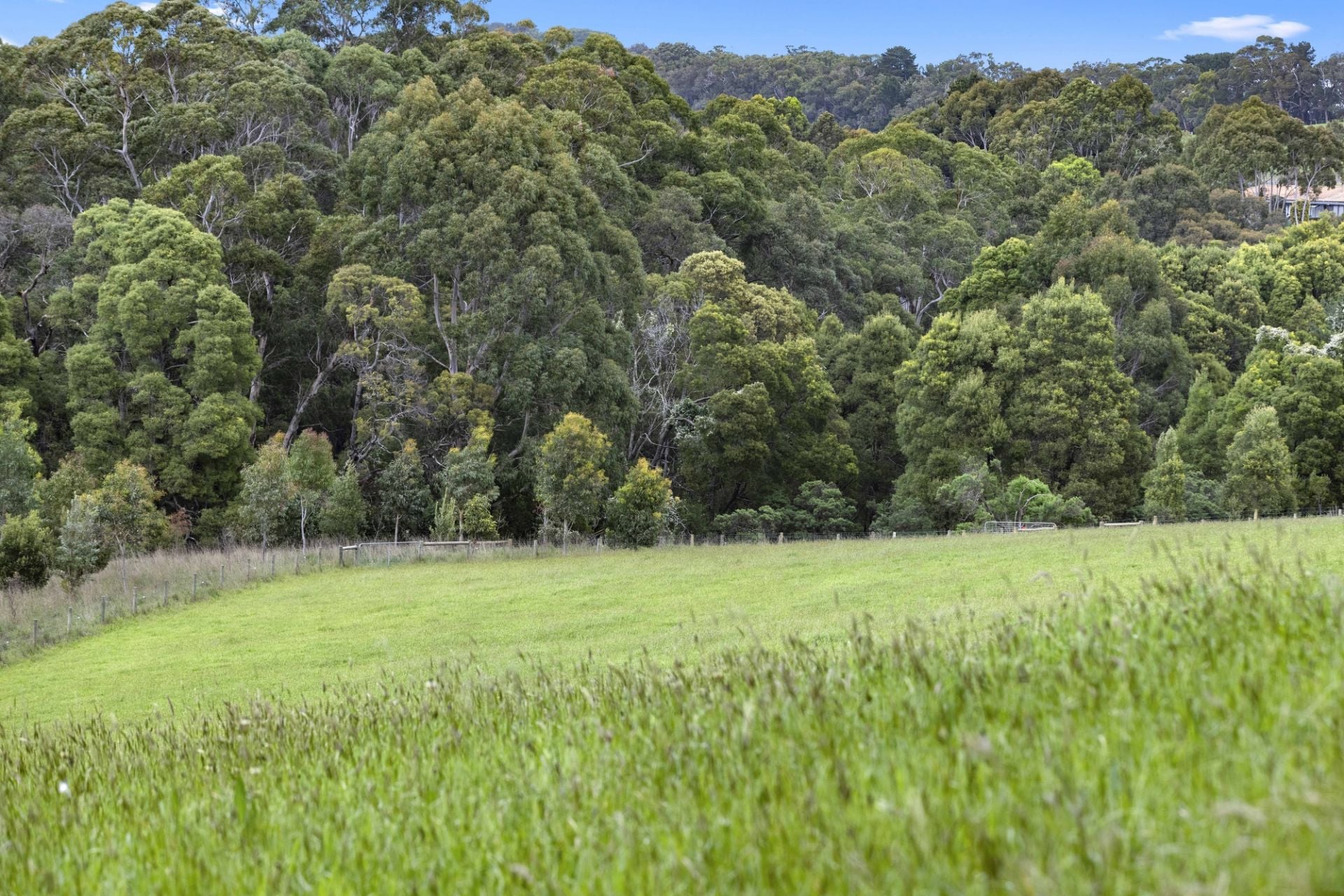 110 Stony Creek Road, Red Hill, Red Hill - Thumbnail 3
