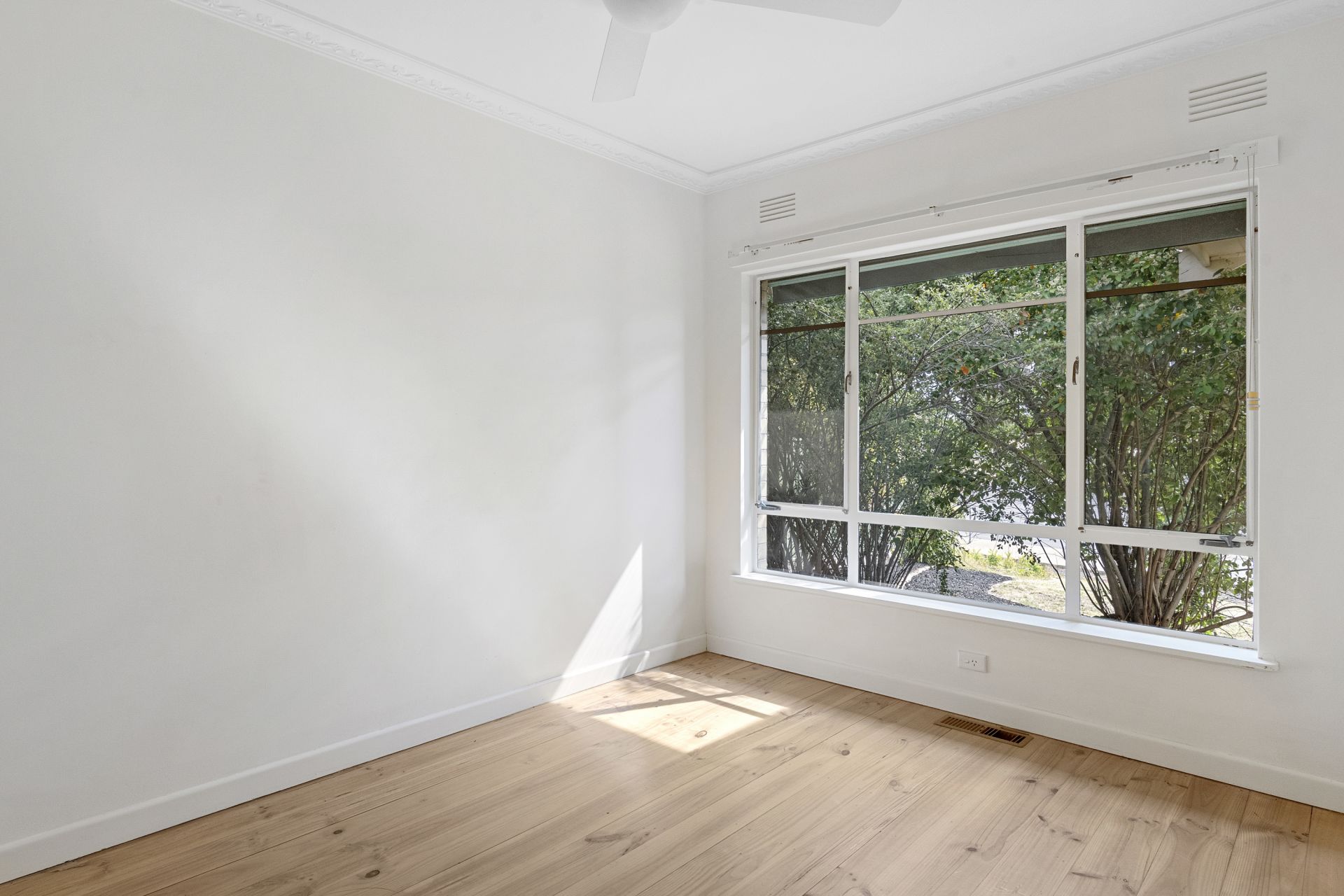 11 Wirth Street, Flora Hill, Flora Hill, Flora Hill - Thumbnail 5