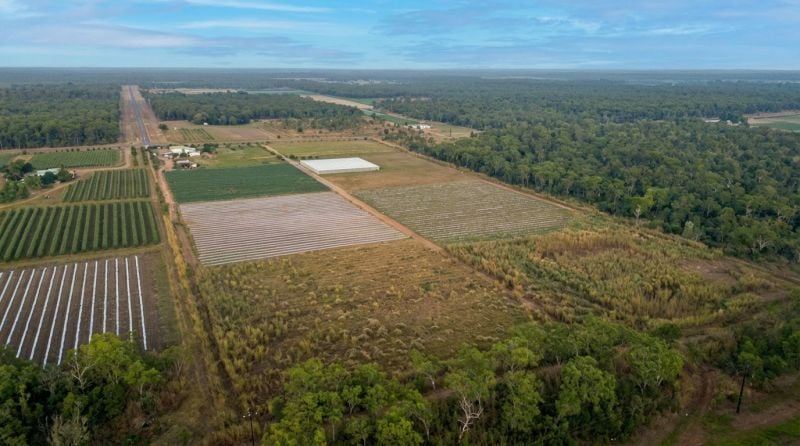 Marrakai For Sale by Farmbuy.com - image 8