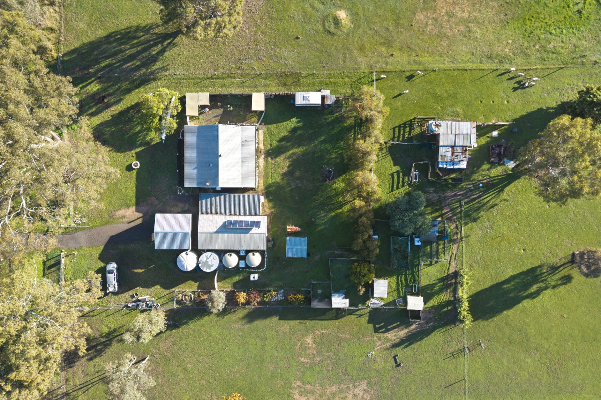 245 Halls Road, Talbot - Thumbnail 3