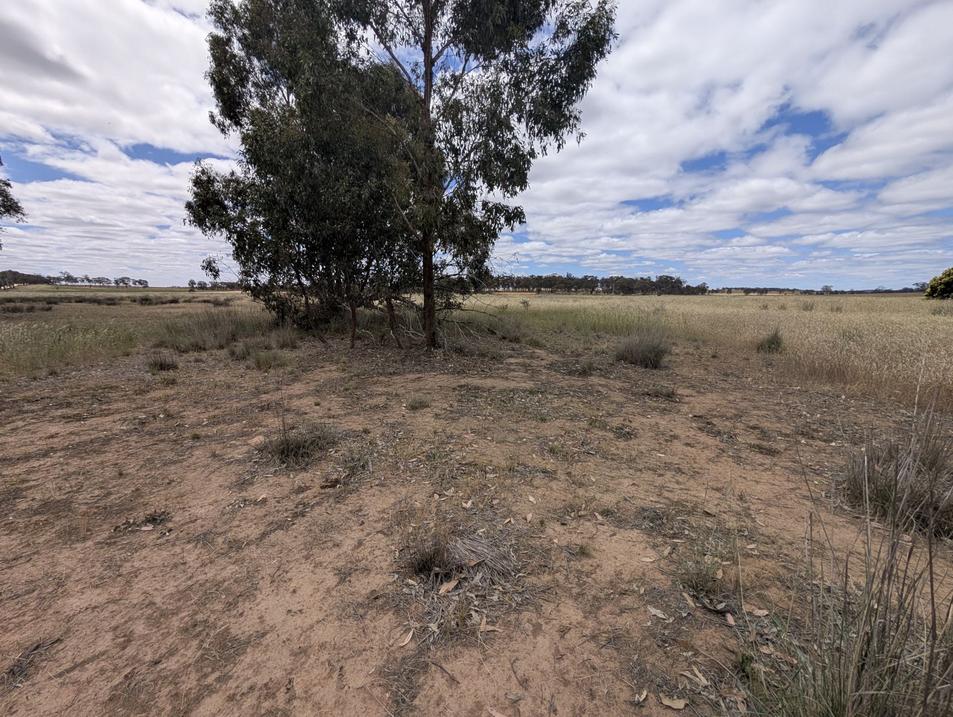 5a Logan-Bealiba Road, Cochranes Creek - Thumbnail 7