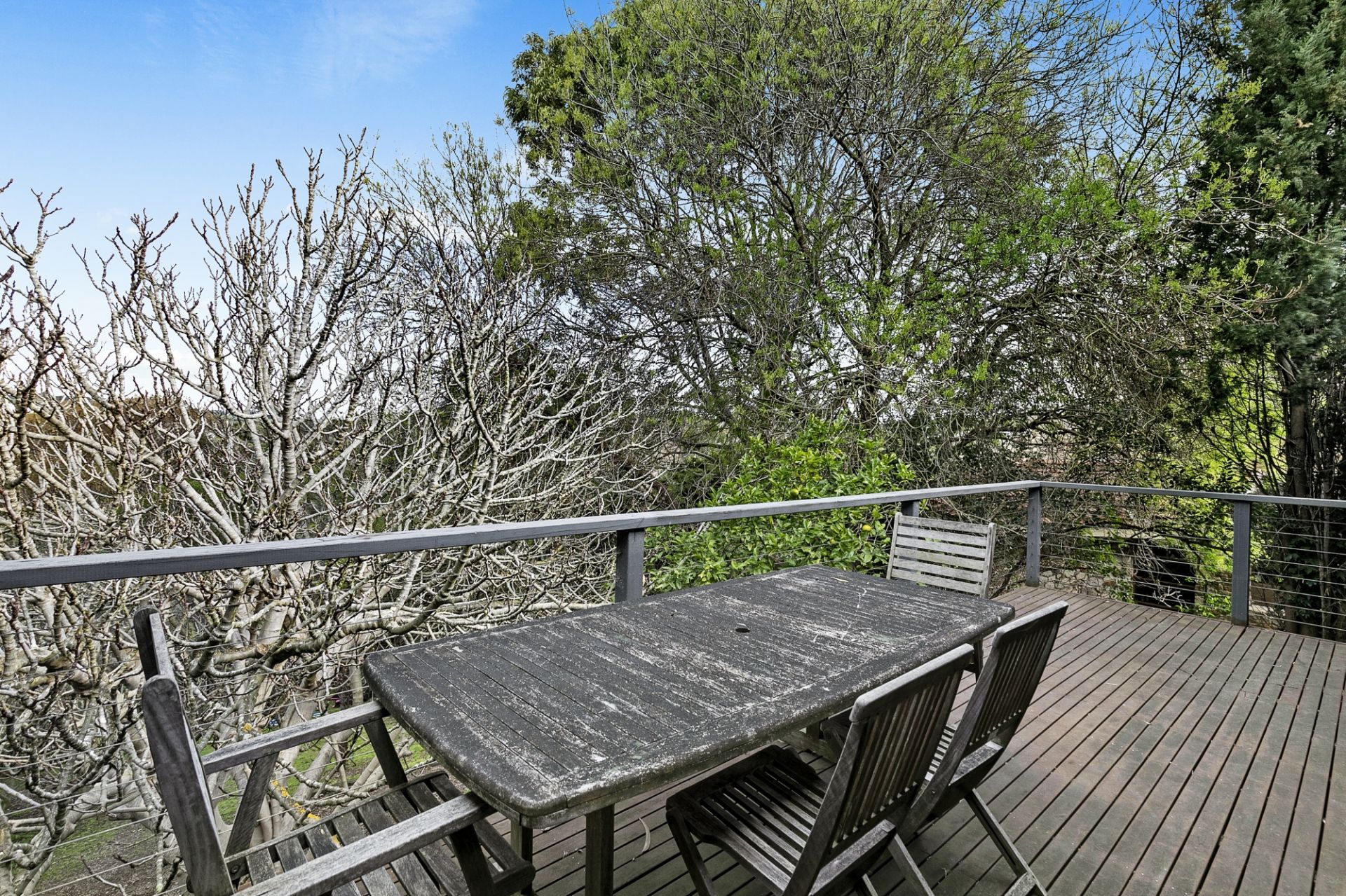 55 Alleyne Ave Torquay VIC, Torquay - Thumbnail 4