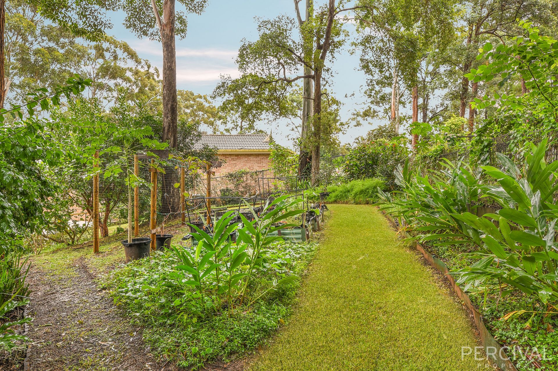 1,000sqm block, Port Macquarie - Thumbnail 7