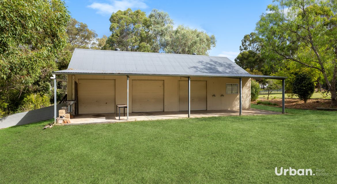 Bellbird 89b Edden Street