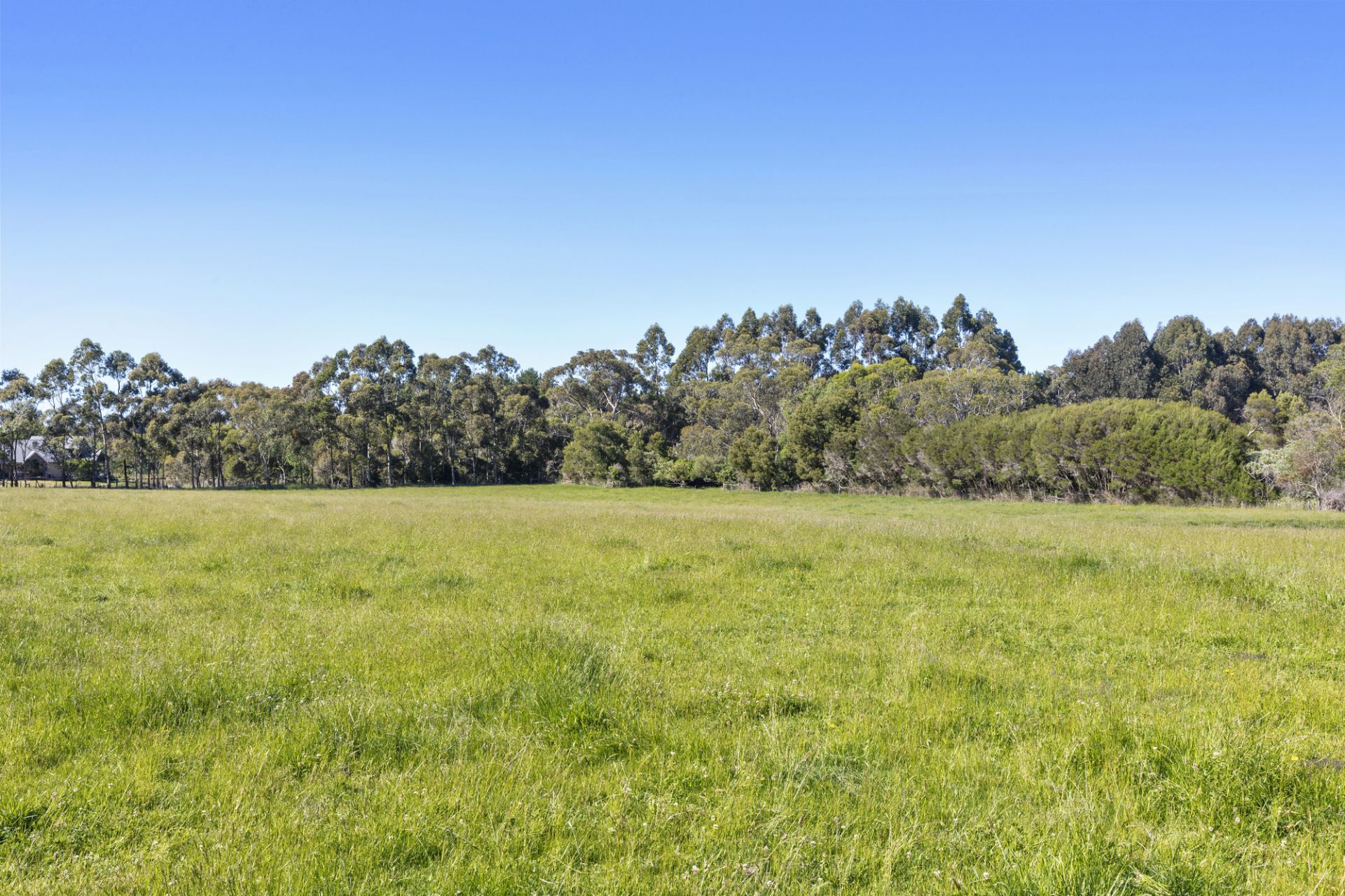 51 Stanleys Road, Merricks, Merricks - Thumbnail 4