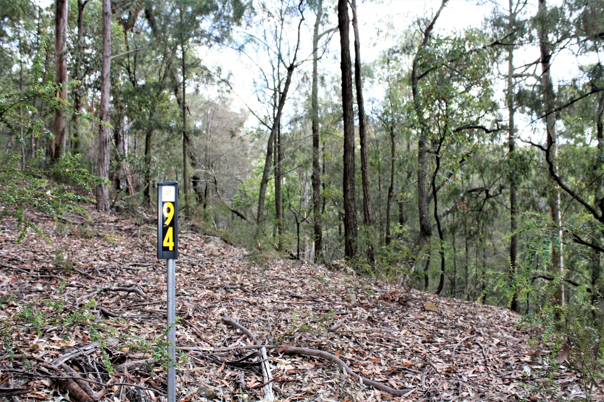 94 Mahers Road MARTINSVILLE NSW, Martinsville - Thumbnail 7