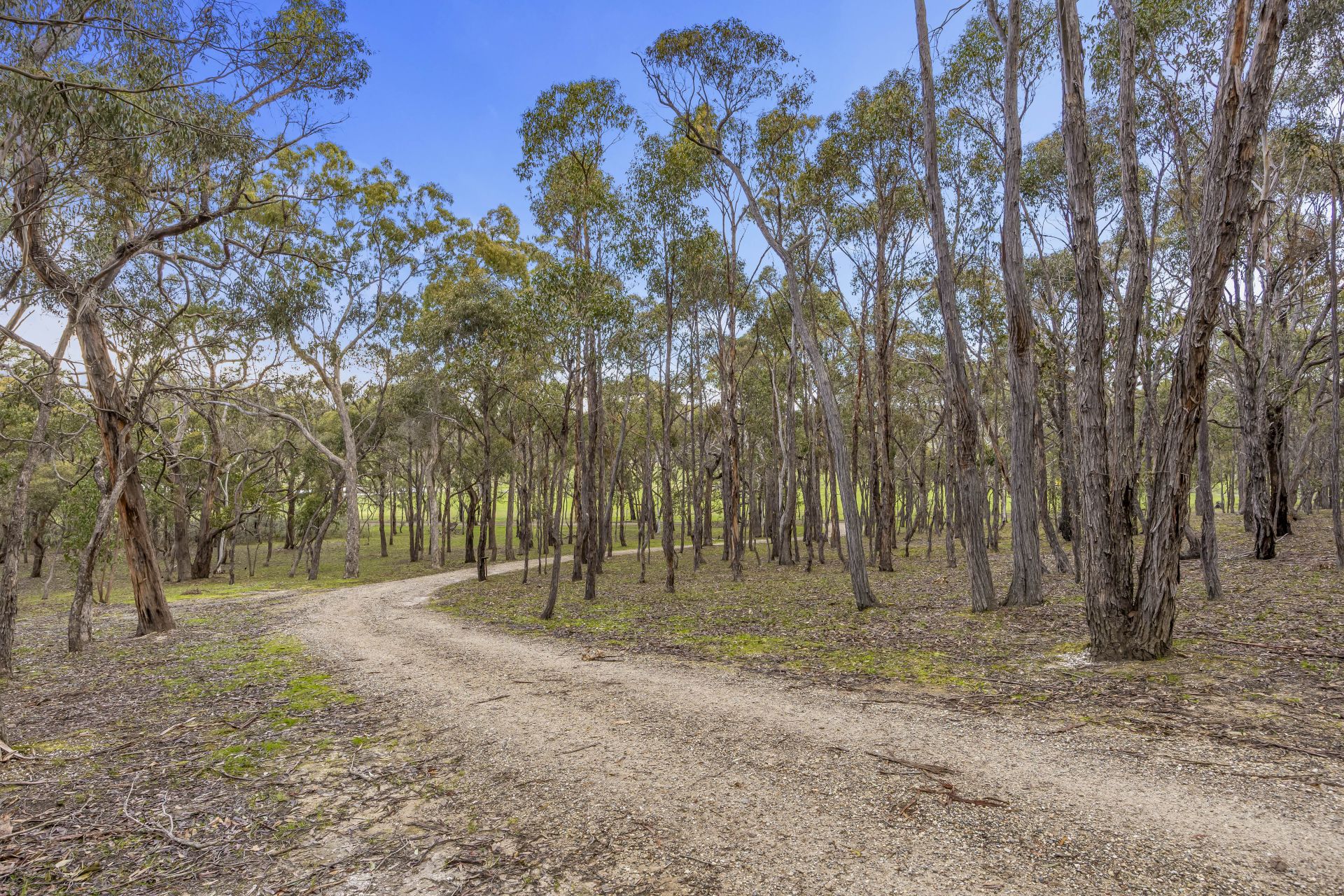17c Kays Road, Waterloo, Waterloo - Thumbnail 5
