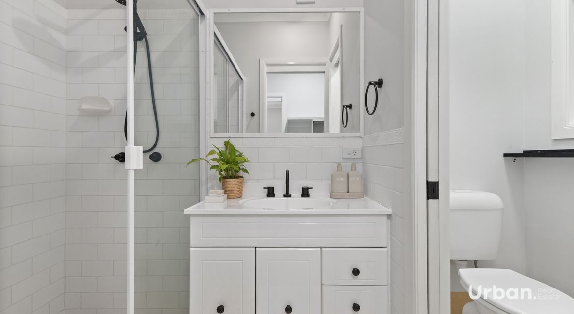 Bellbird 89b Edden Street