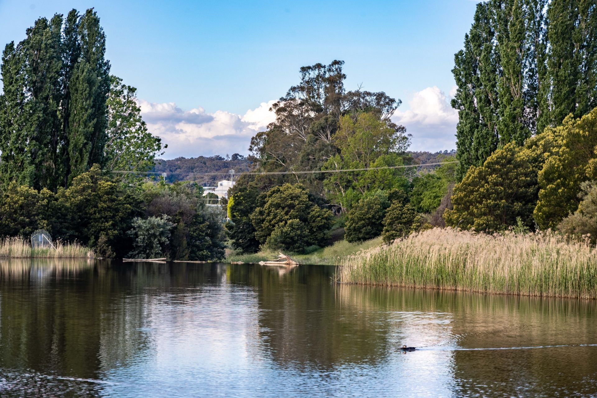 24/20 Trinculo Place, Queanbeyan, Queanbeyan - Thumbnail 6