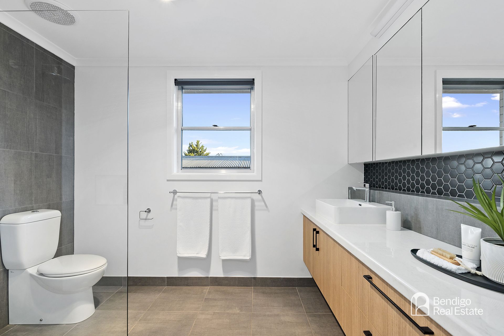 21 Park Street Strathdale VIC, Strathdale - Thumbnail 6