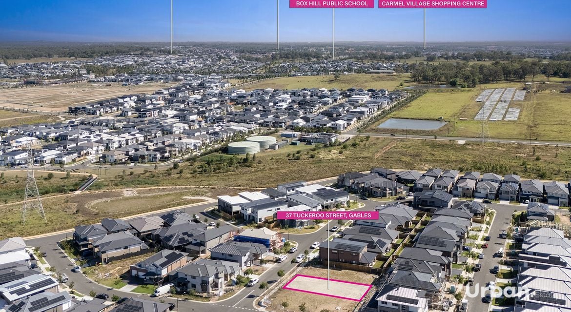 Box Hill 37 Tuckeroo  (Gables) Street