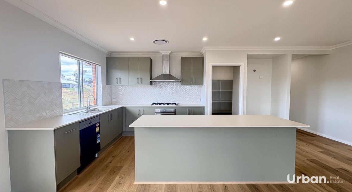 Branxton 12 Pistacia Grove