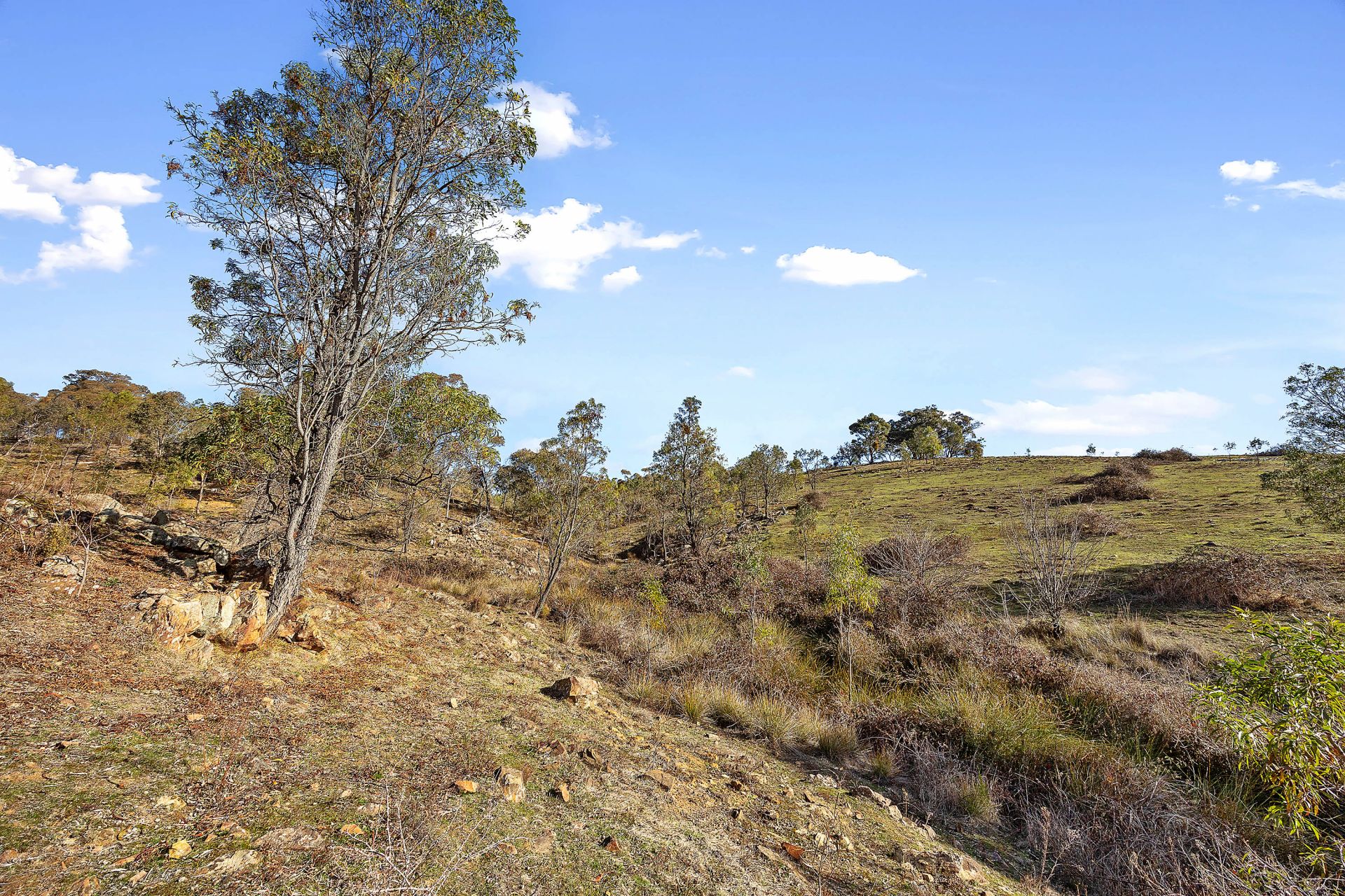 1/ Heritage Drive, Sedgwick, Sedgwick, Sedgwick - Thumbnail 6