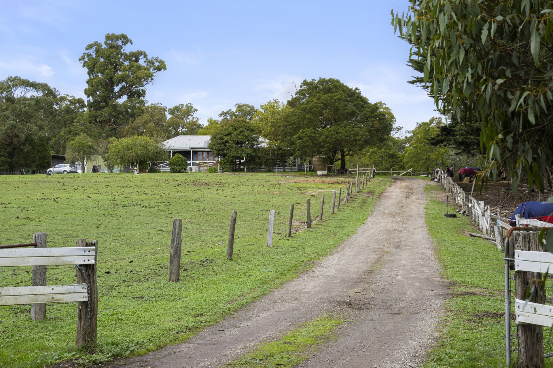 969 Glenelg Highway, Smythes Creek, Smythes Creek - Thumbnail 7