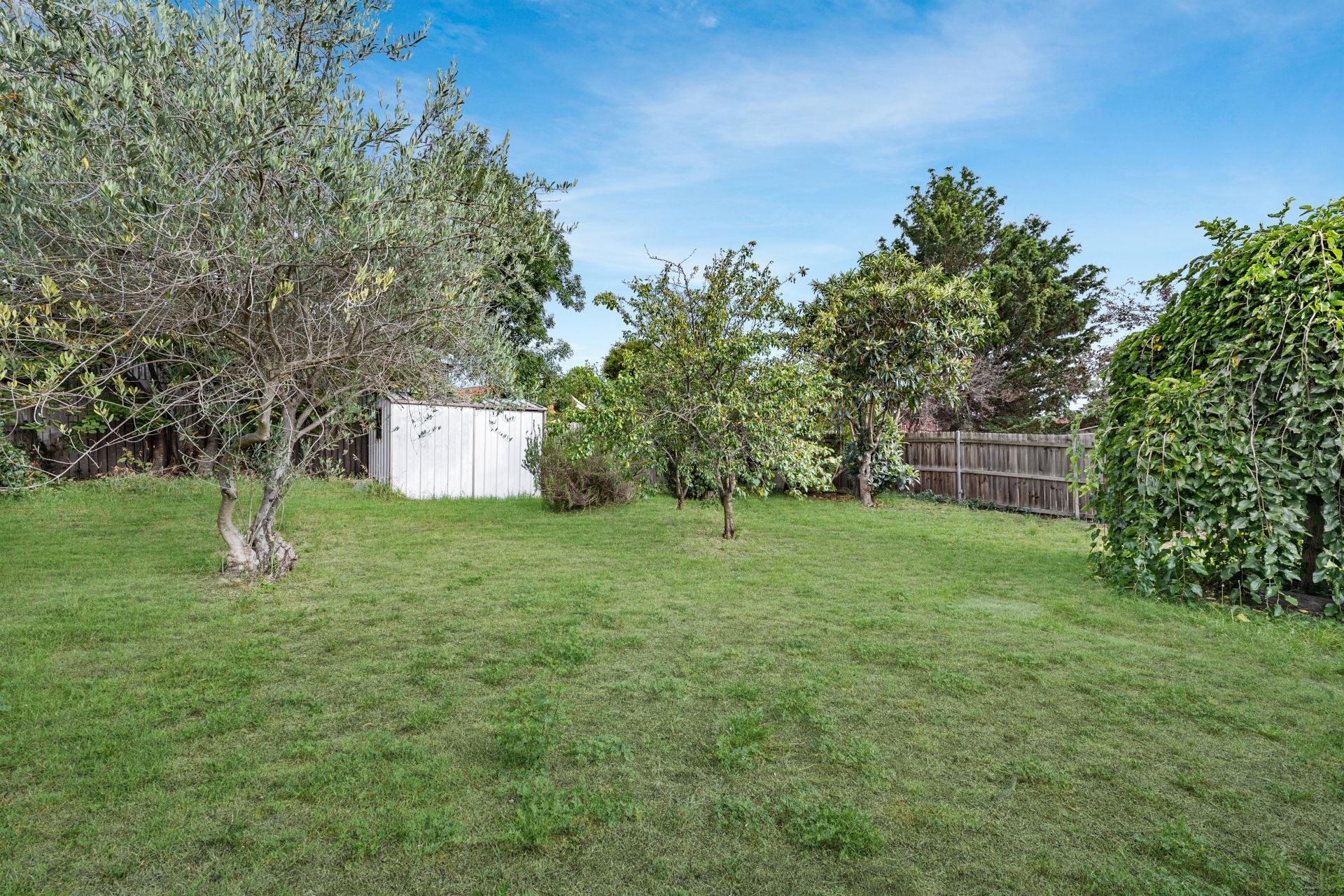 119 Donald Road, Queanbeyan, Queanbeyan - Thumbnail 8