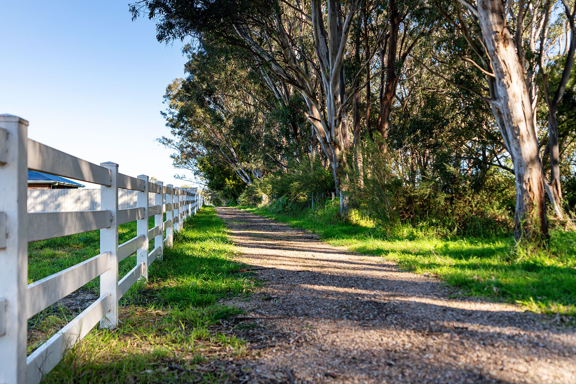 Lot 31/30 Southon Terrace, Nicholson VIC 3882