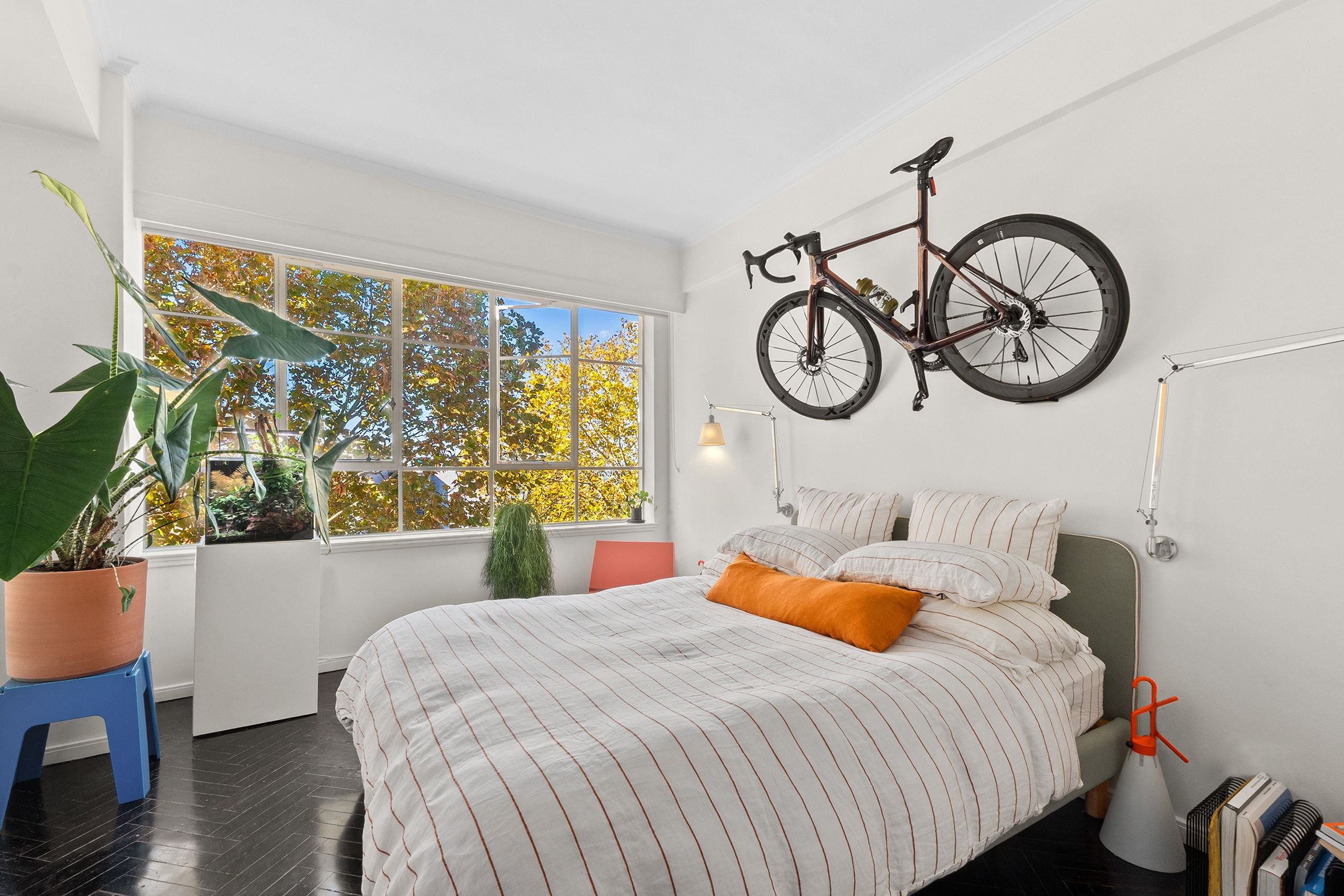 43/17 Wylde Street, Potts Point