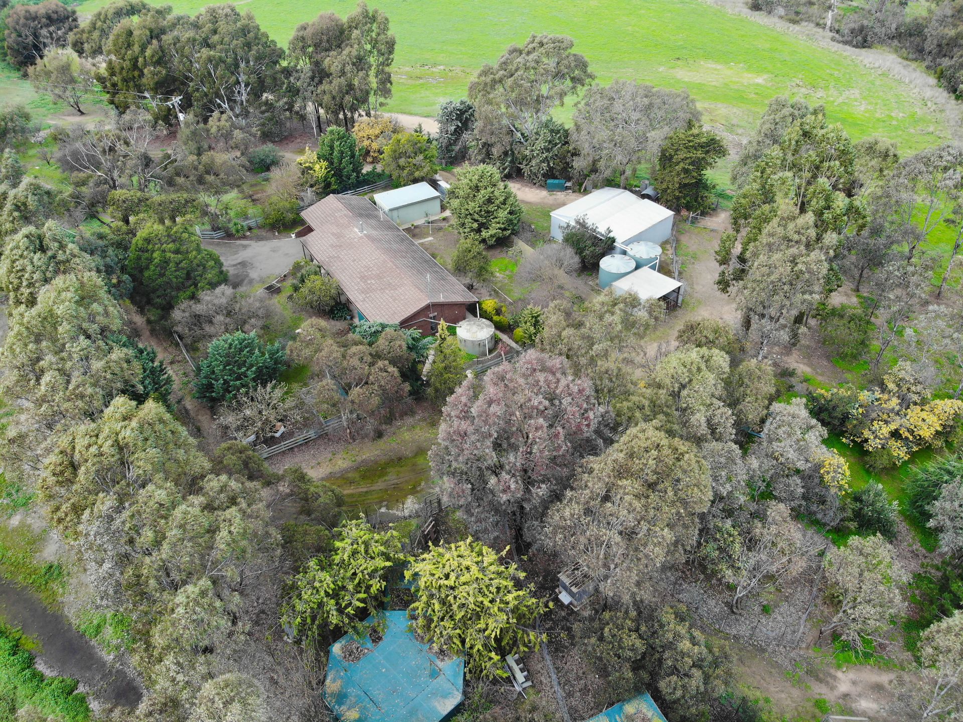 203 High Street, Avoca - Thumbnail 3