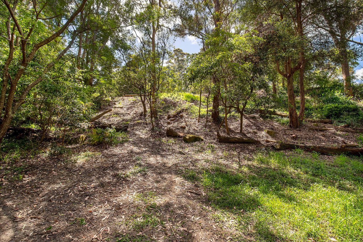 77 Mount Pleasant Avenue, Wahroonga, Wahroonga - Thumbnail 4