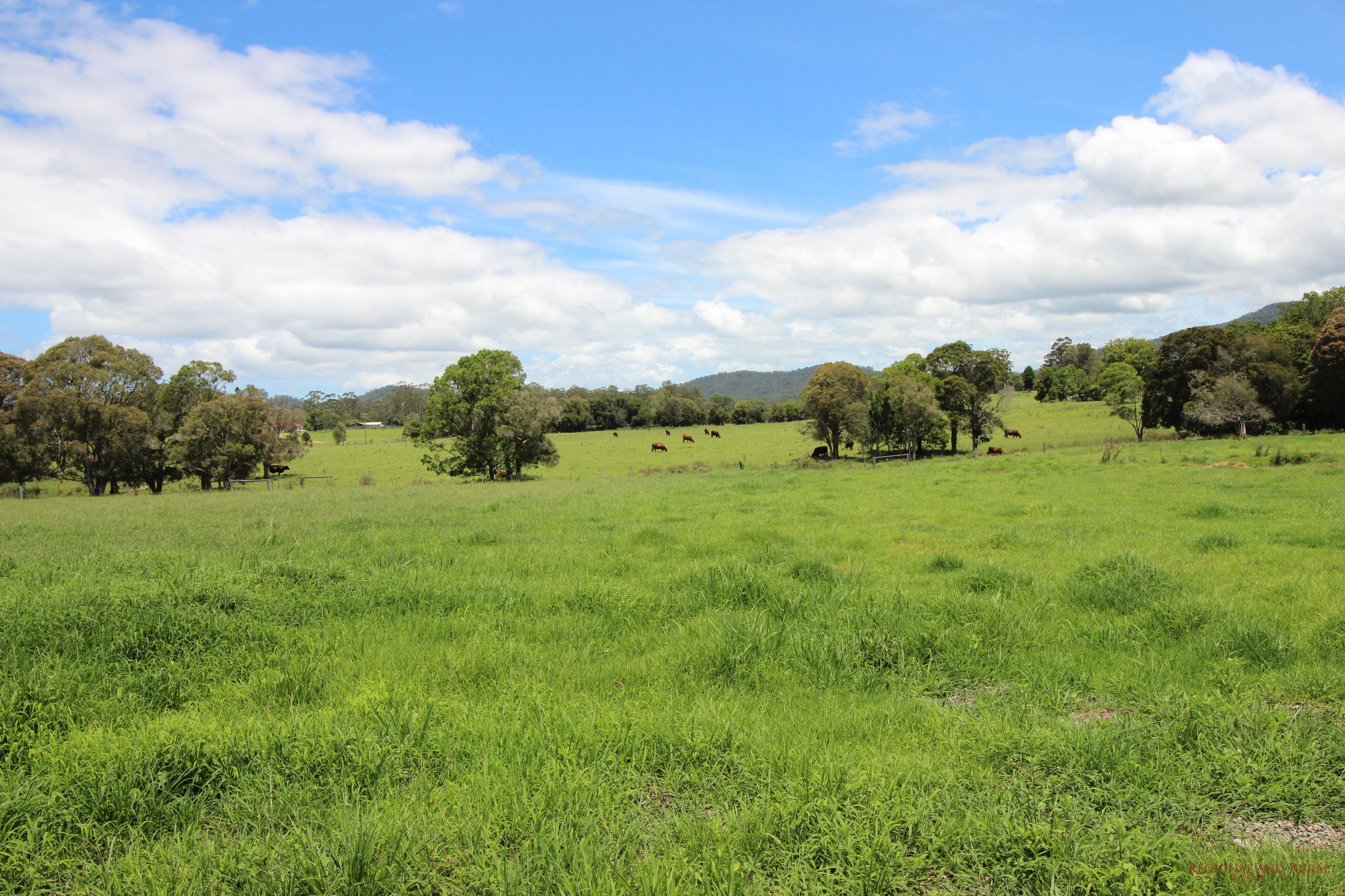 47-49 Weismantle Street, WAUCHOPE NSW 2446