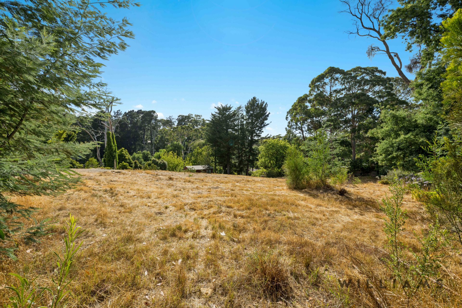 53 Mabel Street Stirling SA, Stirling - Thumbnail 4