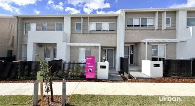 Oran Park 28 Bowerbird Loop