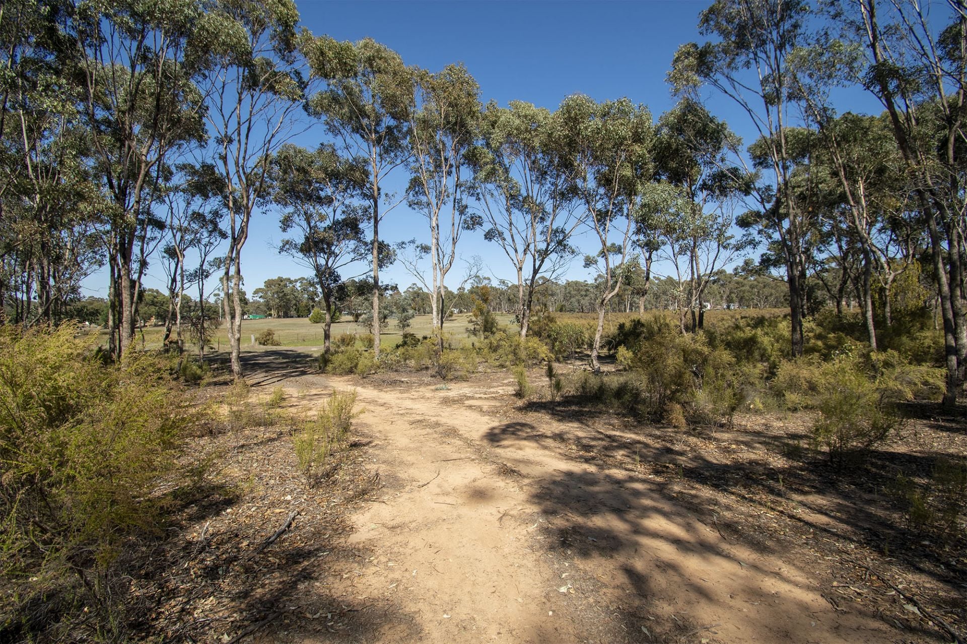145 Scotts Road, Lillicur - Thumbnail 6