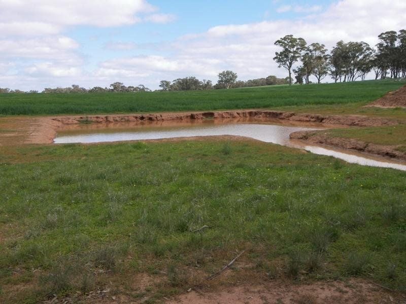 40/ Elmore-Raywood Road Kamarooka VIC, Kamarooka - Thumbnail 3
