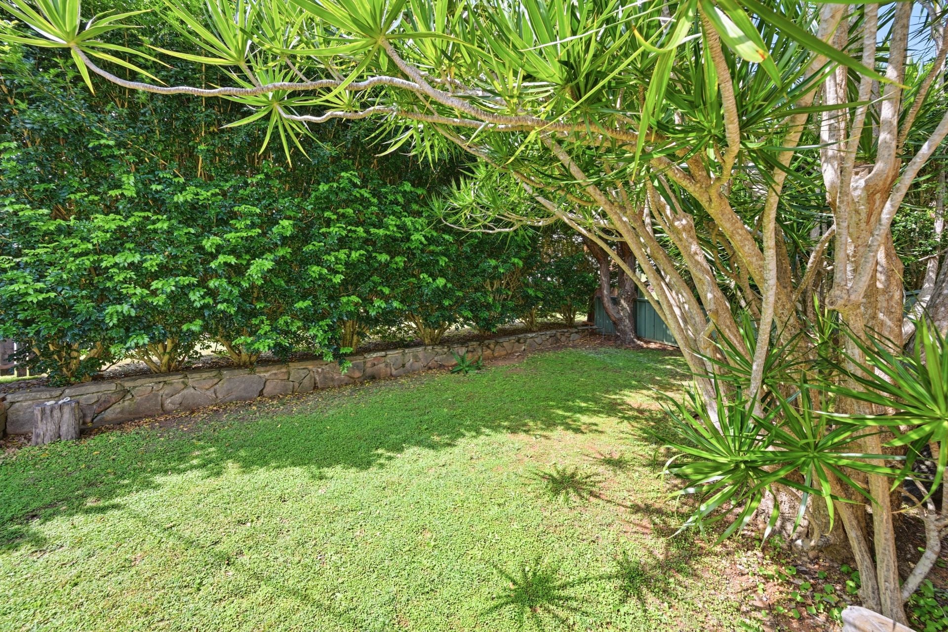 5 Wattle Street Port Macquarie NSW, Port Macquarie - Thumbnail 7