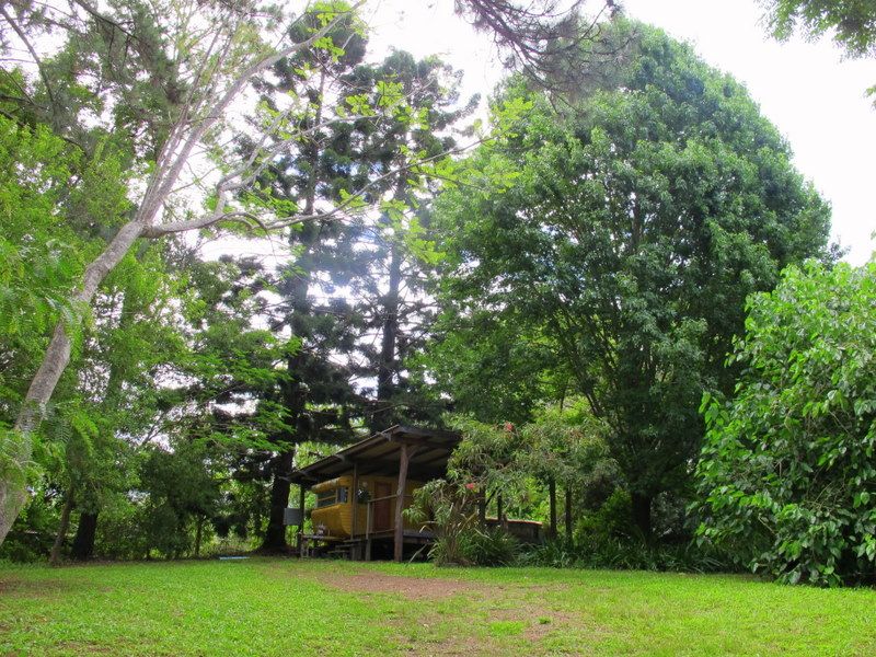 48A Wheatley St BELLINGEN NSW