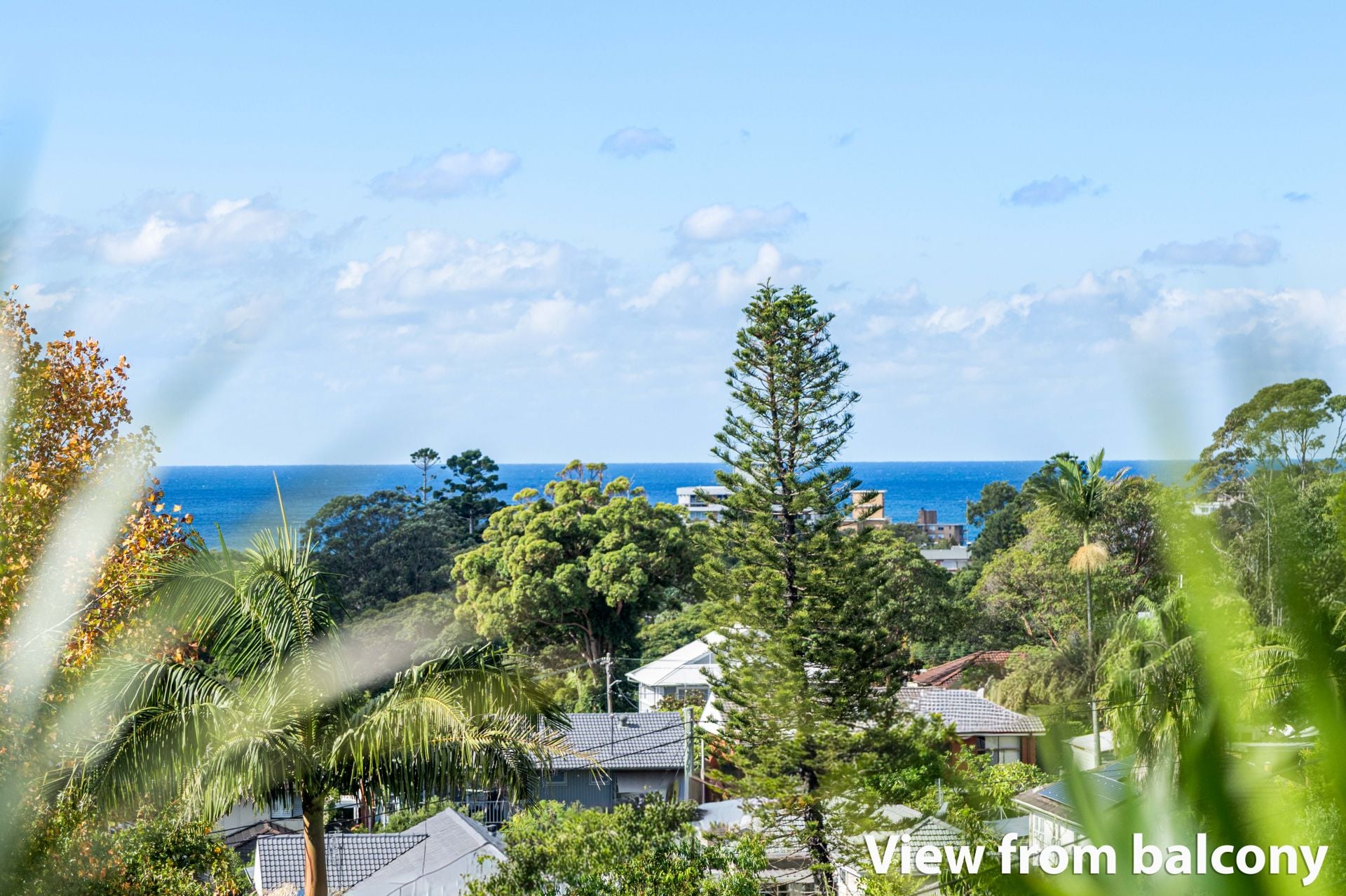 50 Prescott Avenue, Dee Why, Dee Why - Thumbnail 6